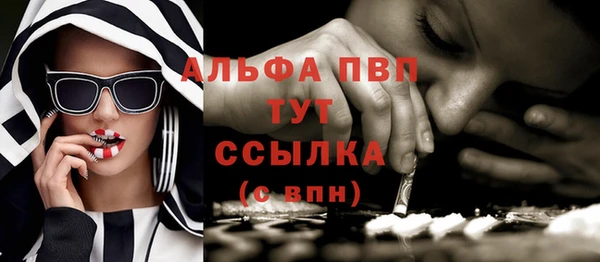 индика Армянск