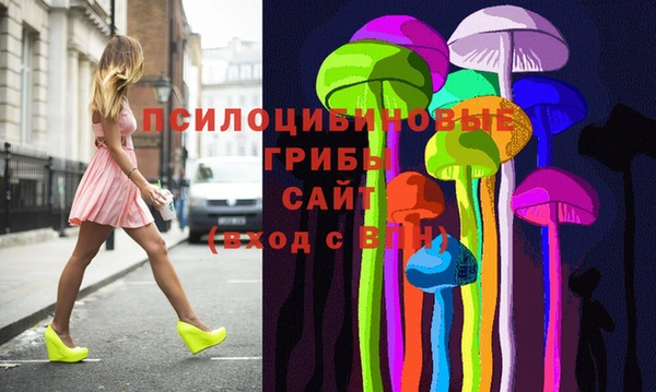 мяу мяу мука Аркадак