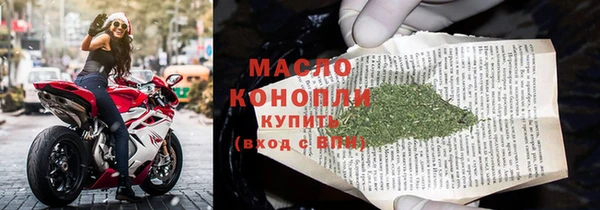 индика Армянск