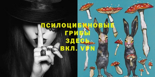 мяу мяу мука Аркадак
