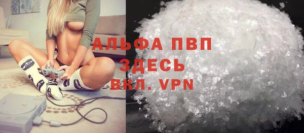 индика Армянск