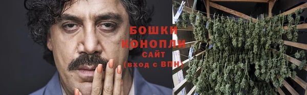 мяу мяу мука Аркадак