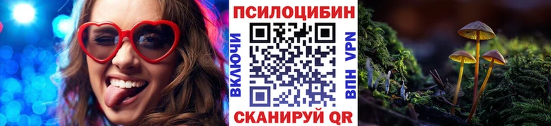 Псилоцибиновые грибы Psilocybine cubensis  купить наркотики цена  Ахтубинск 